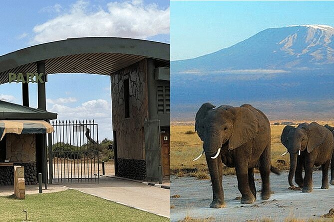Amboseli National Park Day tour; Free Wifi Connection - Lunch at Oltukai Lodge and the afternoon exit