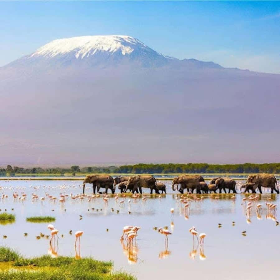 Amboseli National Park Day Trip and Maasai Village Visit - The Maasai village stop and road welcome