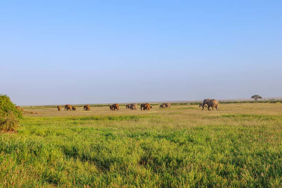 Amboseli National Park: Daytrip from Nairobi in a 4X4 Jeep - A practical lunch stop at Kibo Safari Camp