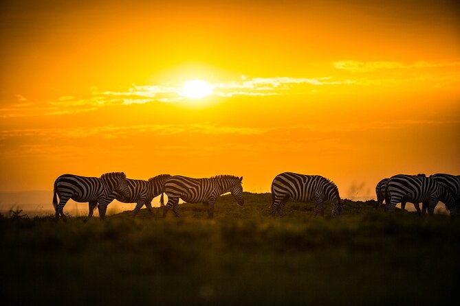 Amboseli National Park for 1 night and 2 days - Lodge choices and what to confirm