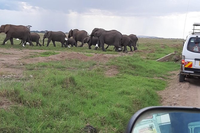 Amboseli National Park Full Day Guided Tour - The real price: add the park fee and food