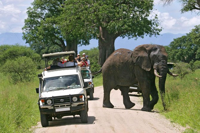Amboseli National Park: Guided Full Day Tour - Key points to know before booking
