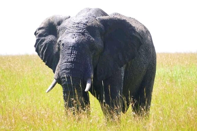 Amboseli national park over night - The four-hour road from Nairobi to Amboseli