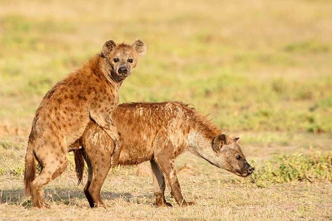 Amboseli national park private Day tour from Nairobi - Who will enjoy this day most