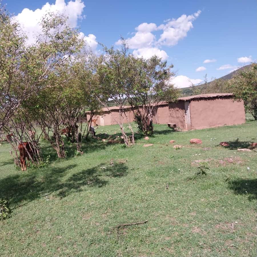 Amboseli Wildlife Day Tour And Masai Village Visit - Entering Amboseli at about 8:30 a.m.