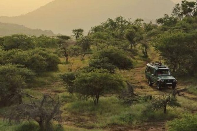 Best of Kenya Safari - Why Samburu’s unusual animals matter