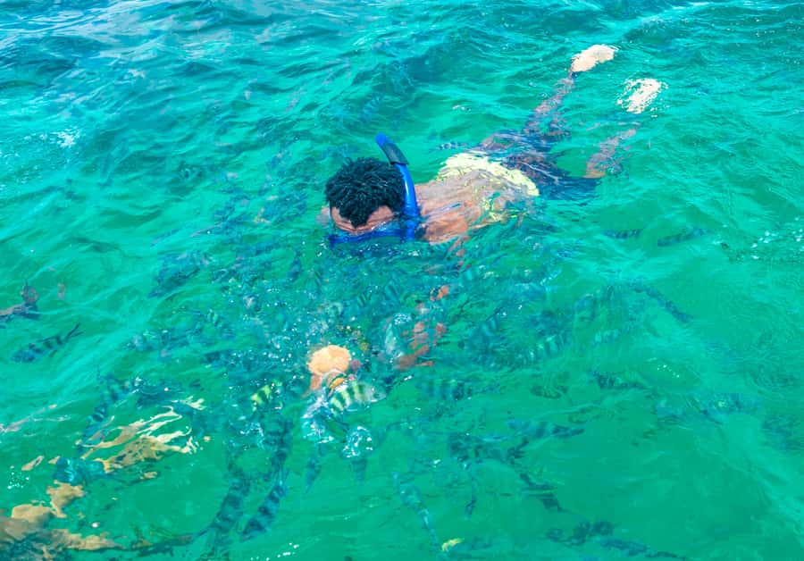 Blue Safari: Snorkeling at Watamu Marine Park & Seafood - A long coastal morning begins at your hotel