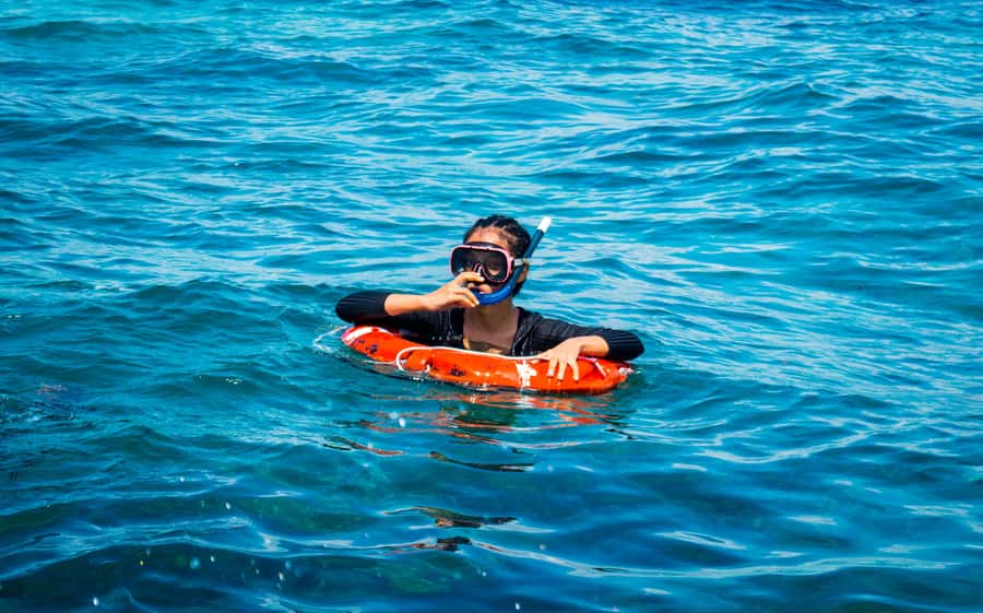 Blue Safari: Snorkeling at Watamu Marine Park & Seafood - Snorkeling with realistic expectations