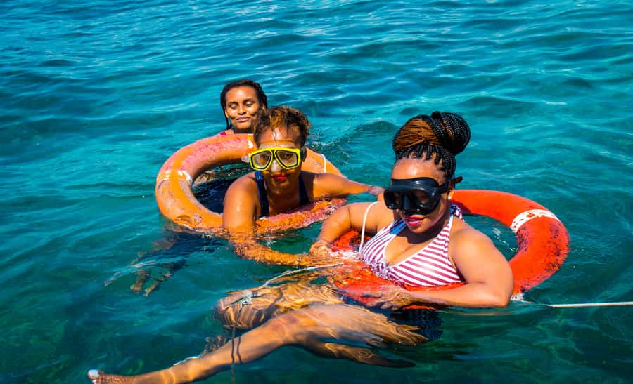 Blue Safari: Snorkeling at Watamu Marine Park & Seafood - Dolphin spotting from the boat