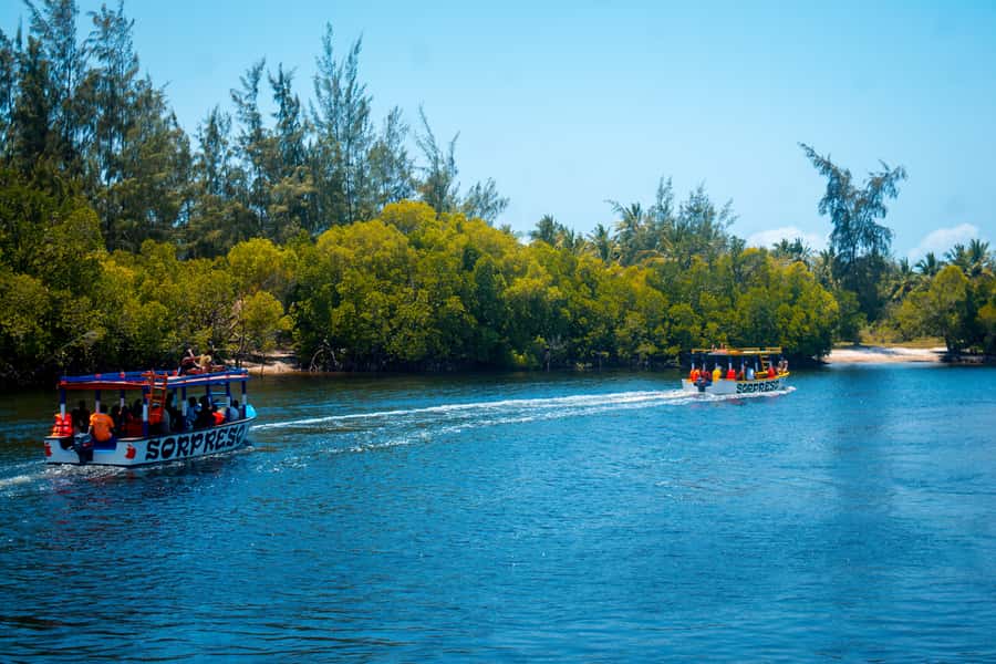 Blue Safari: Snorkeling at Watamu Marine Park & Seafood - Crew service, communication, and the pace of the day