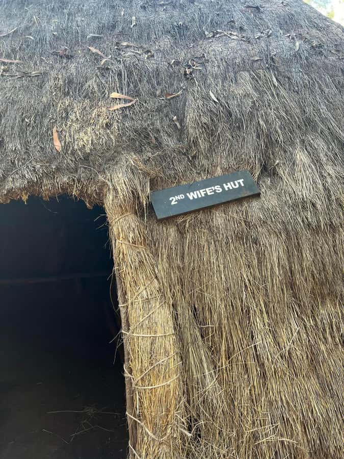 Bomas Of Kenya Cultural Experience - The traditional performance in the arena