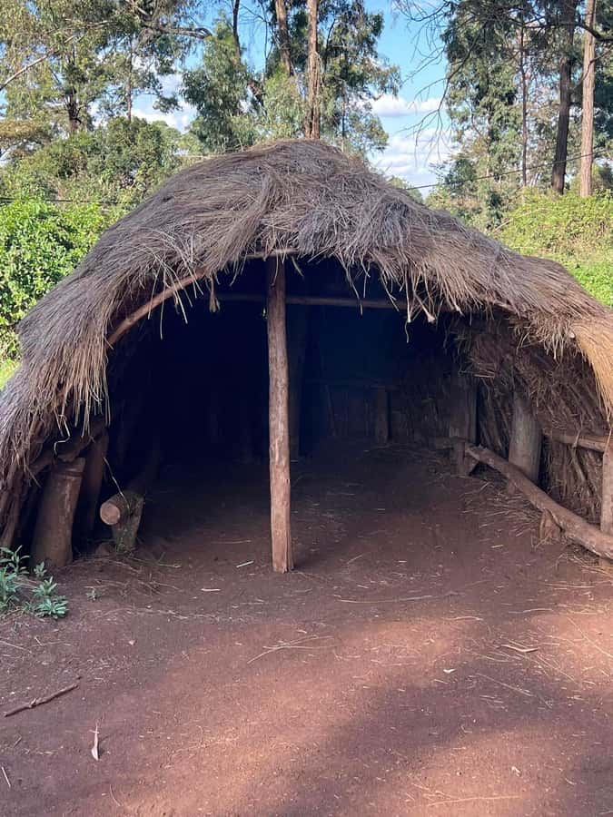 Bomas Of Kenya Cultural Experience - Seeing all 42 communities in one afternoon