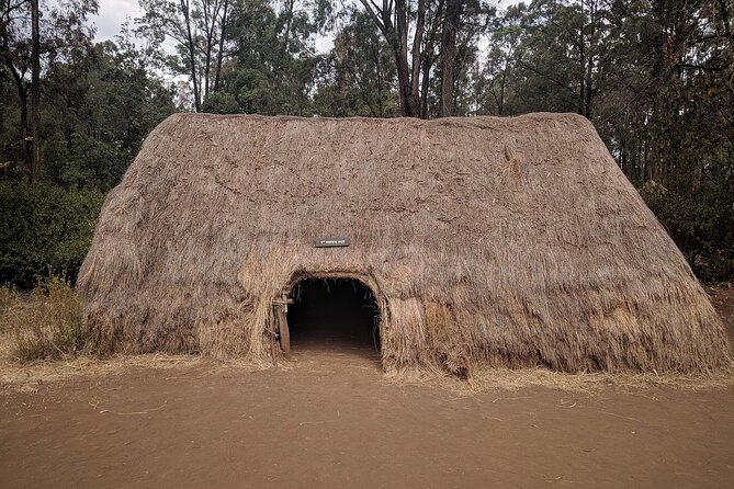 Bomas of Kenya Half-Day Tour from Nairobi - Is $80 a fair price?