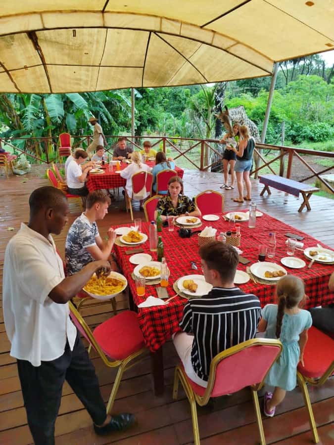 Borabora: Animal Park Guided and Bush Tour - Key points to know before you book