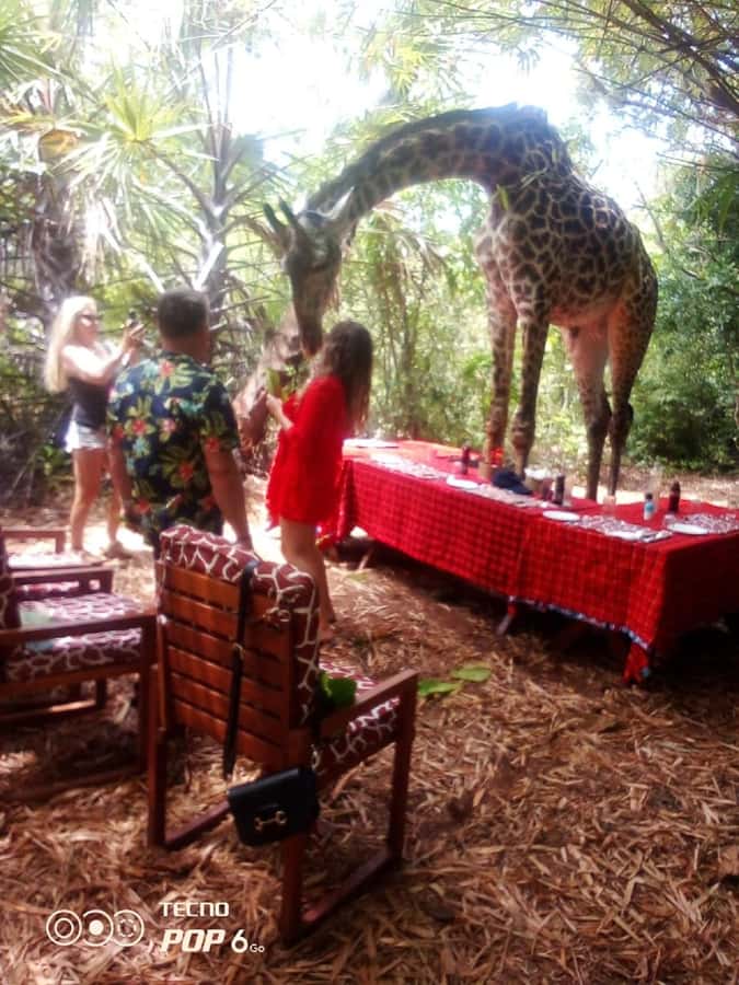 Borabora: Animal Park Guided and Bush Tour - Why this Diani animal park visit is different