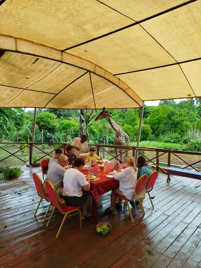 Borabora: Animal Park Guided and Bush Tour - Meeting crocodiles, zebras, and smaller animals