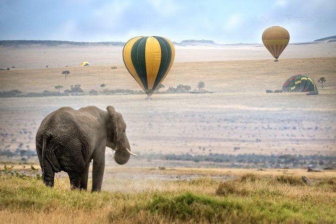 Classic Best Adventure In Kenya And Tanzania 2025 - Days 5 and 6: The Ngorongoro Crater centerpiece