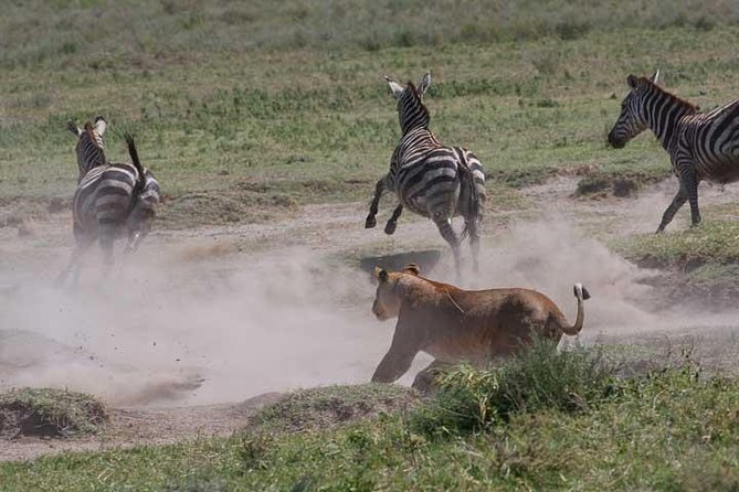 Classic Best Adventure In Kenya And Tanzania 2025 - Days 2 and 3: Elephants and Kilimanjaro in Amboseli