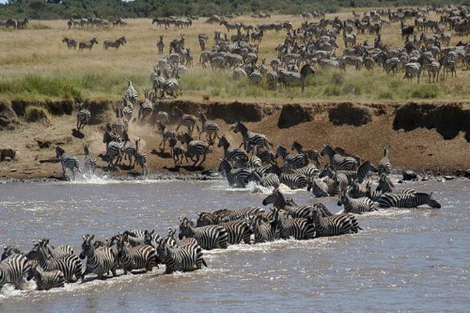 Classic Luxury 4 X 4 Masai Mara Safari - The 4x4 setup and what it means for you