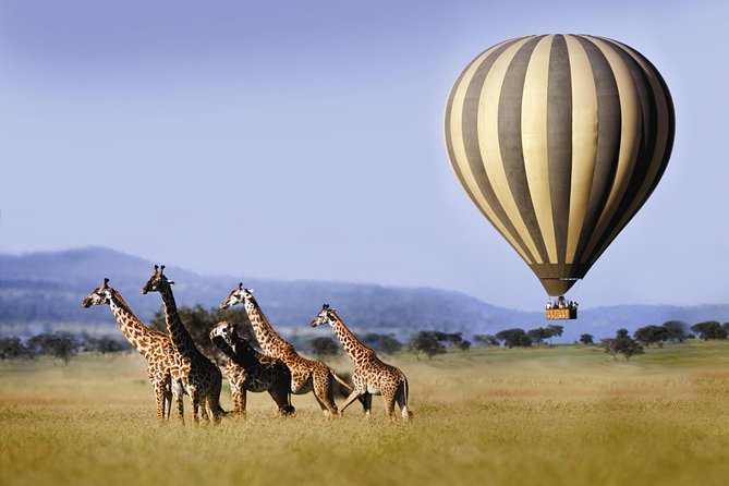 Classic Luxury 4 X 4 Masai Mara Safari - Loyk Mara Camp: your base for three nights