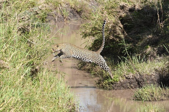 Classic Thrilling Kenya, Tanzania and Zanzibar 2024 - Crossing into Tanzania requires patience