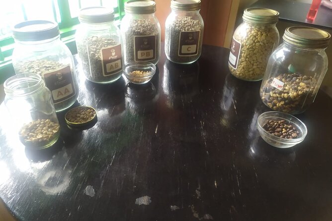 Coffee Farm Half-Day Tour in Kenya - The guide can shape the whole experience