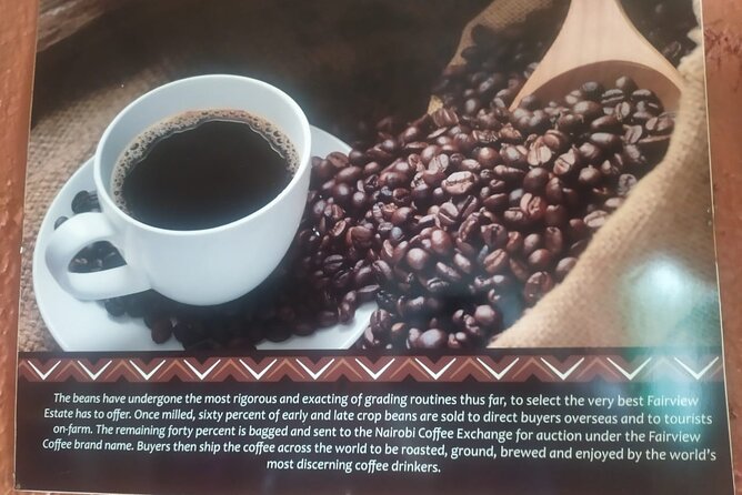 Coffee Farm Half-Day Tour in Kenya - Is $38 a good value?