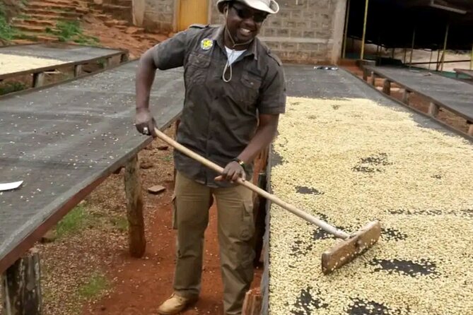 Coffee farm tour, coffee roasting and tasting experience - The guides make the difference