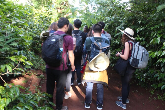 Coffee farm tour, coffee roasting and tasting experience - What the $35 price really includes