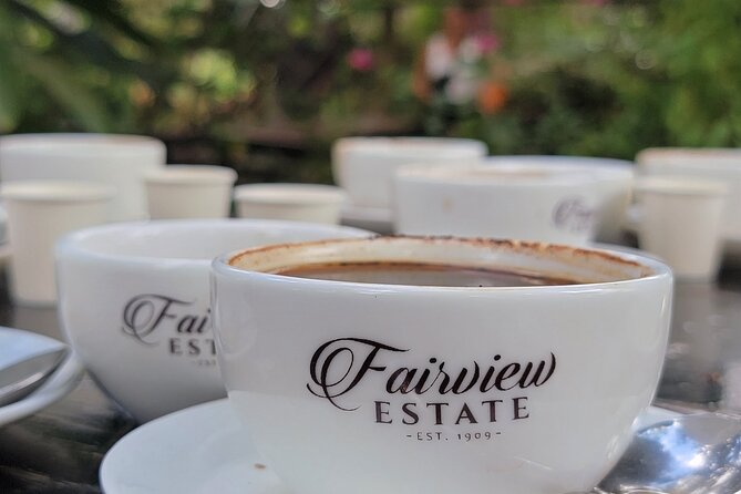 Coffee Farm Tour (Fairview) - From coffee cherry to roasted bean