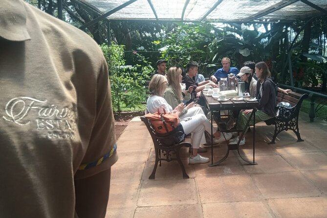 Coffee Farm Tour (Fairview) - The four-cup tasting test