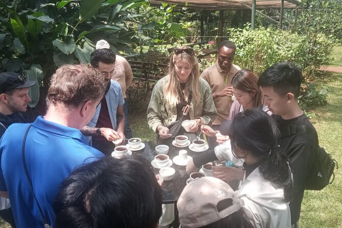 Coffee Farm Tour (Fairview) - Buying Kenyan coffee at Fairview