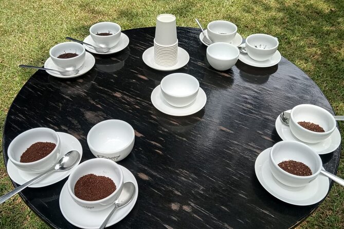 Coffee Farm Tour (Fairview) - Who should book this half-day outing?