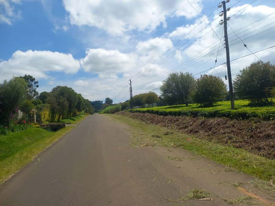Coffee farm tour in nairobi with free pickup & drop off. - Who will enjoy this coffee tour most