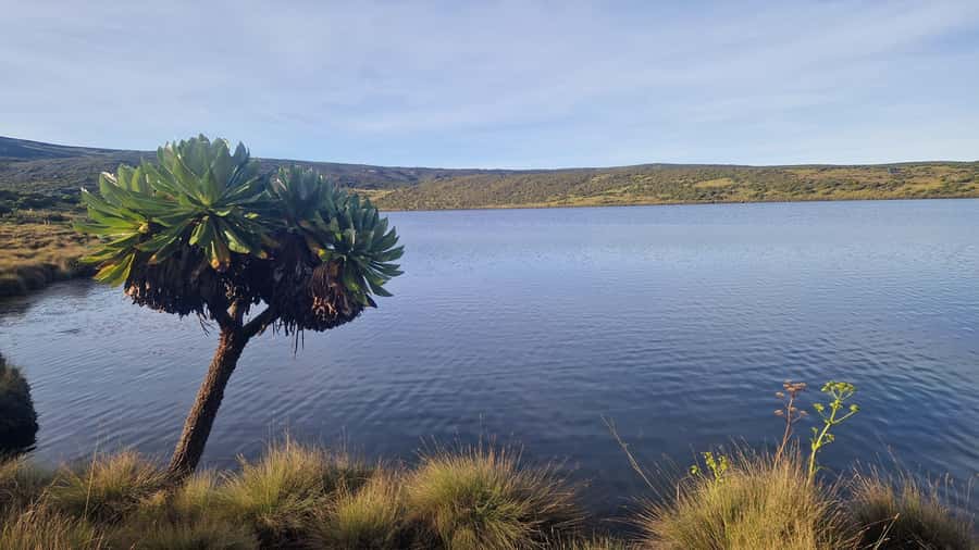 Conquer Mount Kenya: Mt Kenya Trekking via Chogoria 4-5 days - Day 3: Point Lenana at sunrise, then down to Old Moses