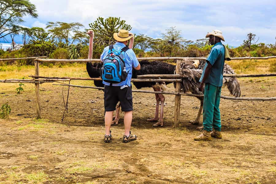 Crescent Island and Lake Naivasha: A Walking Safari - Key points before you book