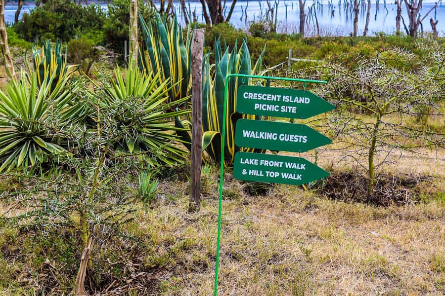 Crescent Island and Lake Naivasha: A Walking Safari - Who should book this experience?