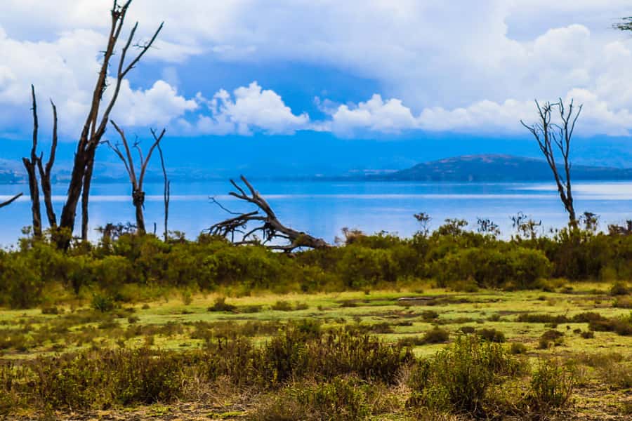 Crescent Island and Lake Naivasha: A Walking Safari - The Nairobi departure and Great Rift Valley drive