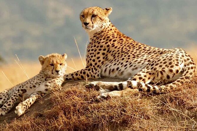 Daily departures 3 days masai mara by landcruiser - Nairobi to the Rift Valley: A Long but Useful First Morning