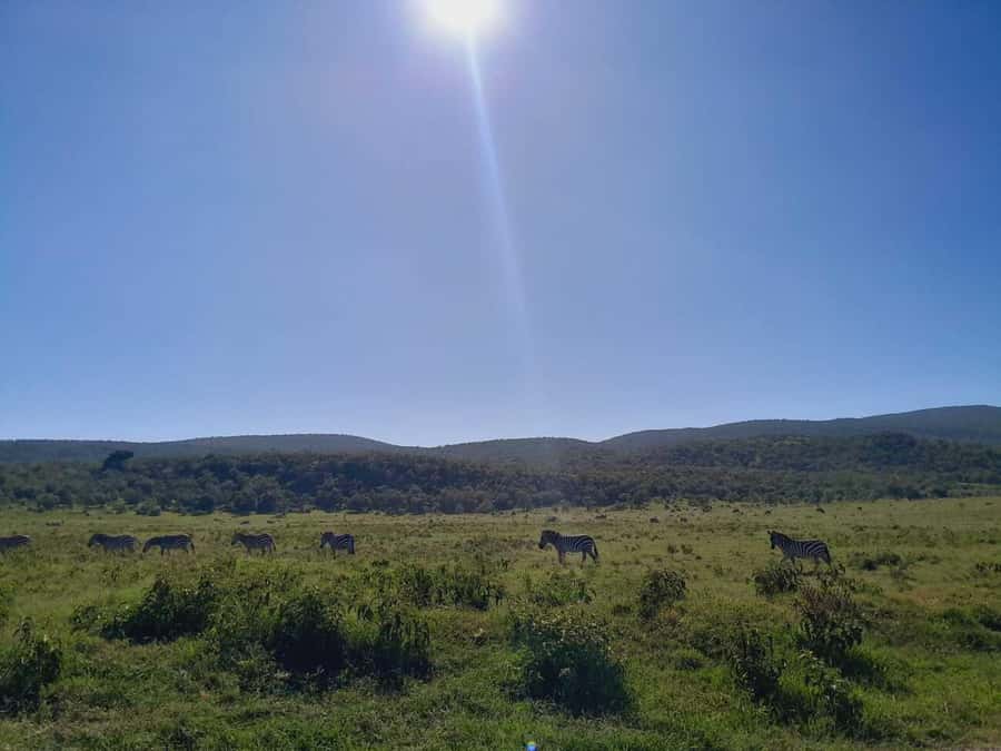 Daily Hell's gate National Park Ebike Cycling - The guide can make or break the day