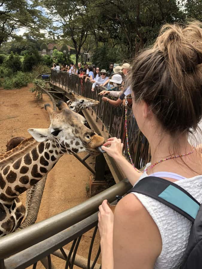 David Sheldrick wildlife Trust and Giraffe Center - What to bring and how to prepare