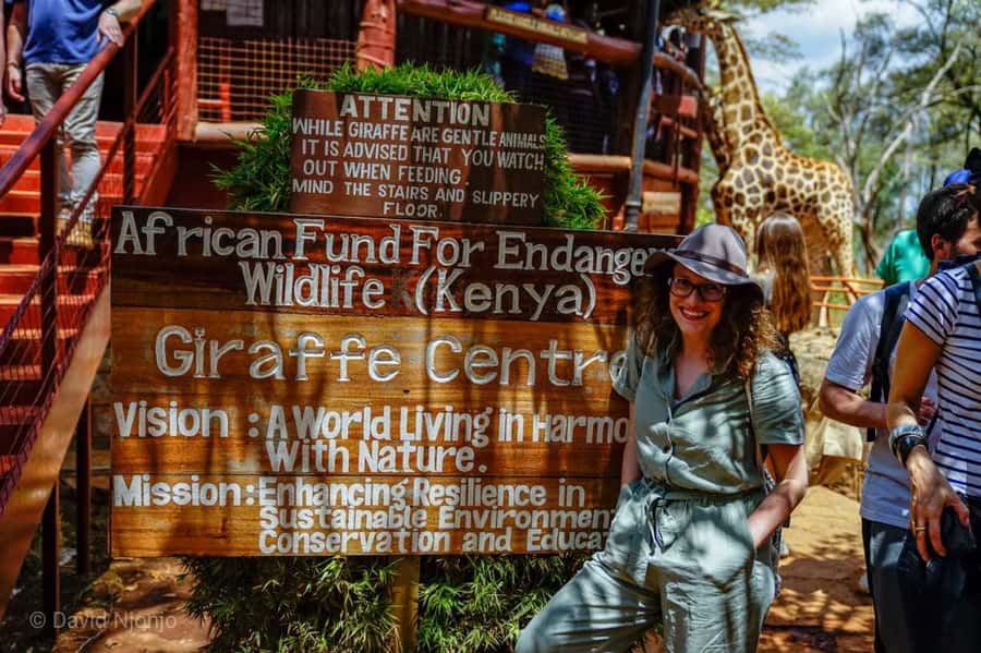 David Sheldrick Wildlife Trust & Giraffe Center with Lunch - Why this Nairobi combination works