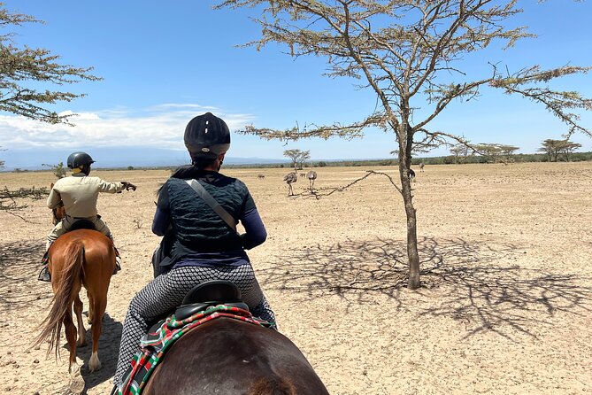 Day safari to Olpejeta Rhino conservancy - The chimpanzee sanctuary and its close human connection