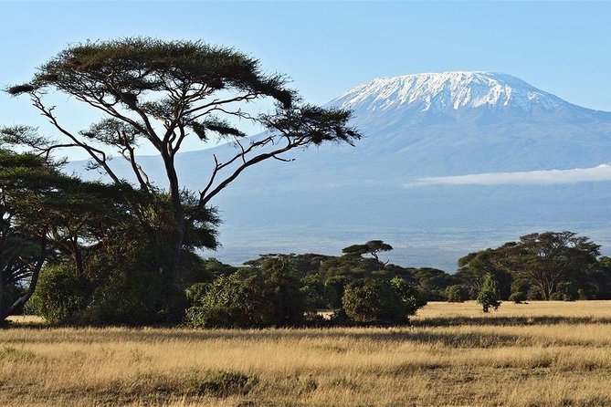 Day Tour - Amboseli National Park From Nairobi - Lunch at the lodge: useful pause, unclear cost