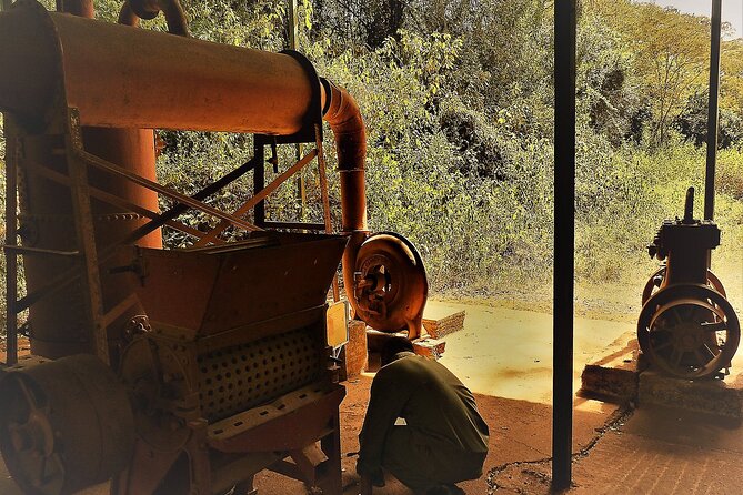 Day Tour Giraffe Center, Karen blixen and Lunch at Carnivore - Should you book the Giraffe Centre, Karen Blixen, and Carnivore tour?