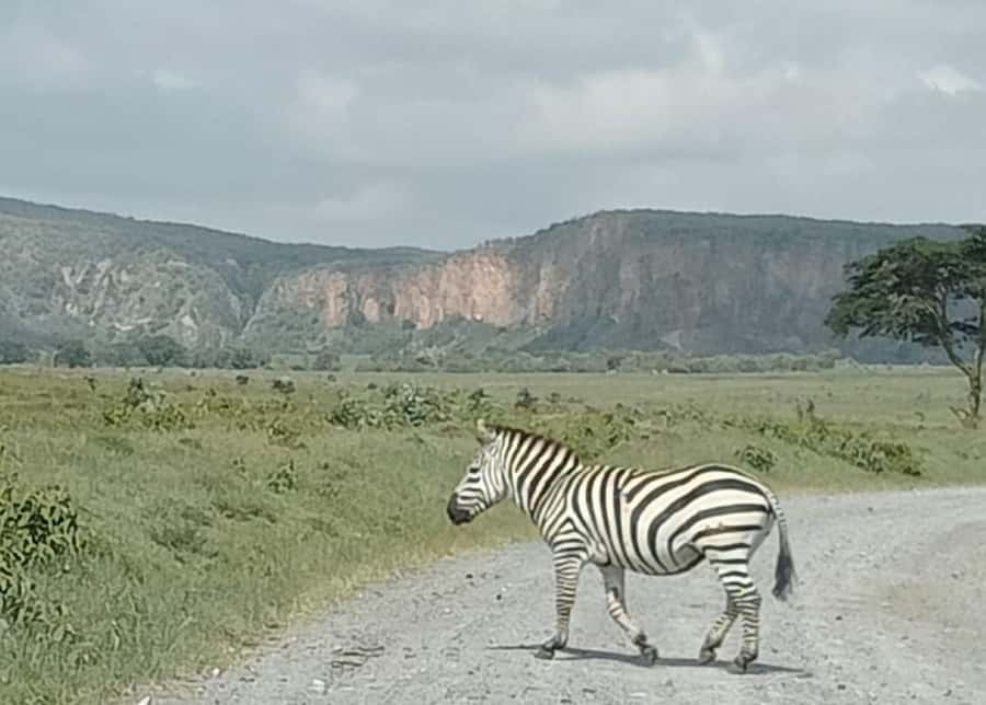 DAY TOUR- LAKE NAIVASHA AND HELL'S GATE PARK-WITH PARK FEES - Key points to know before booking