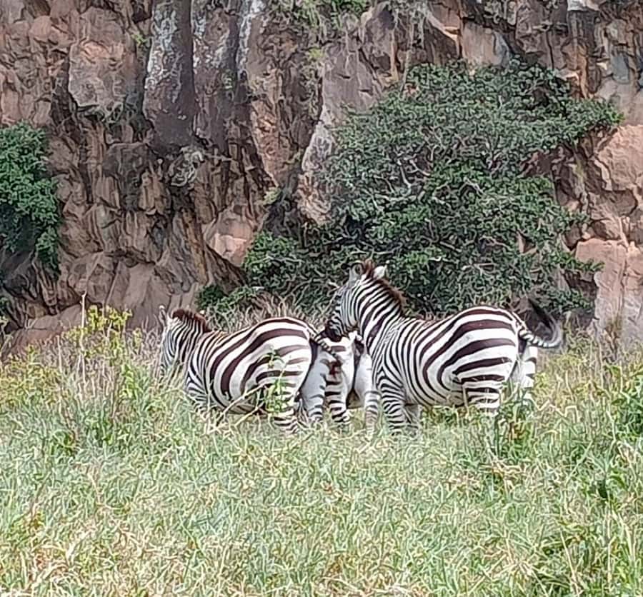 DAY TOUR- LAKE NAIVASHA AND HELL'S GATE PARK-WITH PARK FEES - The 7am departure from Nairobi