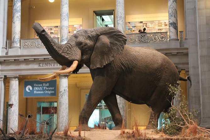 Day Tour Nairobi Museum, Giraffe Centre & Nairobi National Park - Who should book this day?