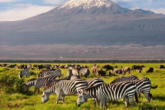 Day Tour Nairobi National Park - Walking the Nairobi safari walk and orphanage