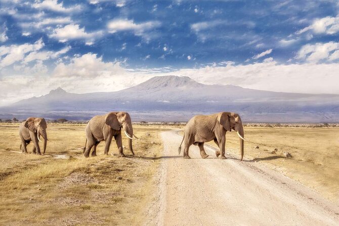 Day Tour to Amboseli National Park - Key points to know before booking